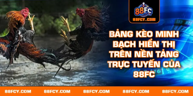 Bảng kèo minh bạch hiển thị trên nền tảng trực tuyến của 88FC